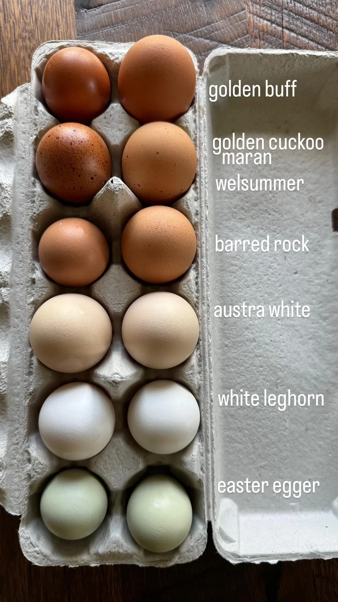 ombre egg carton.jpg