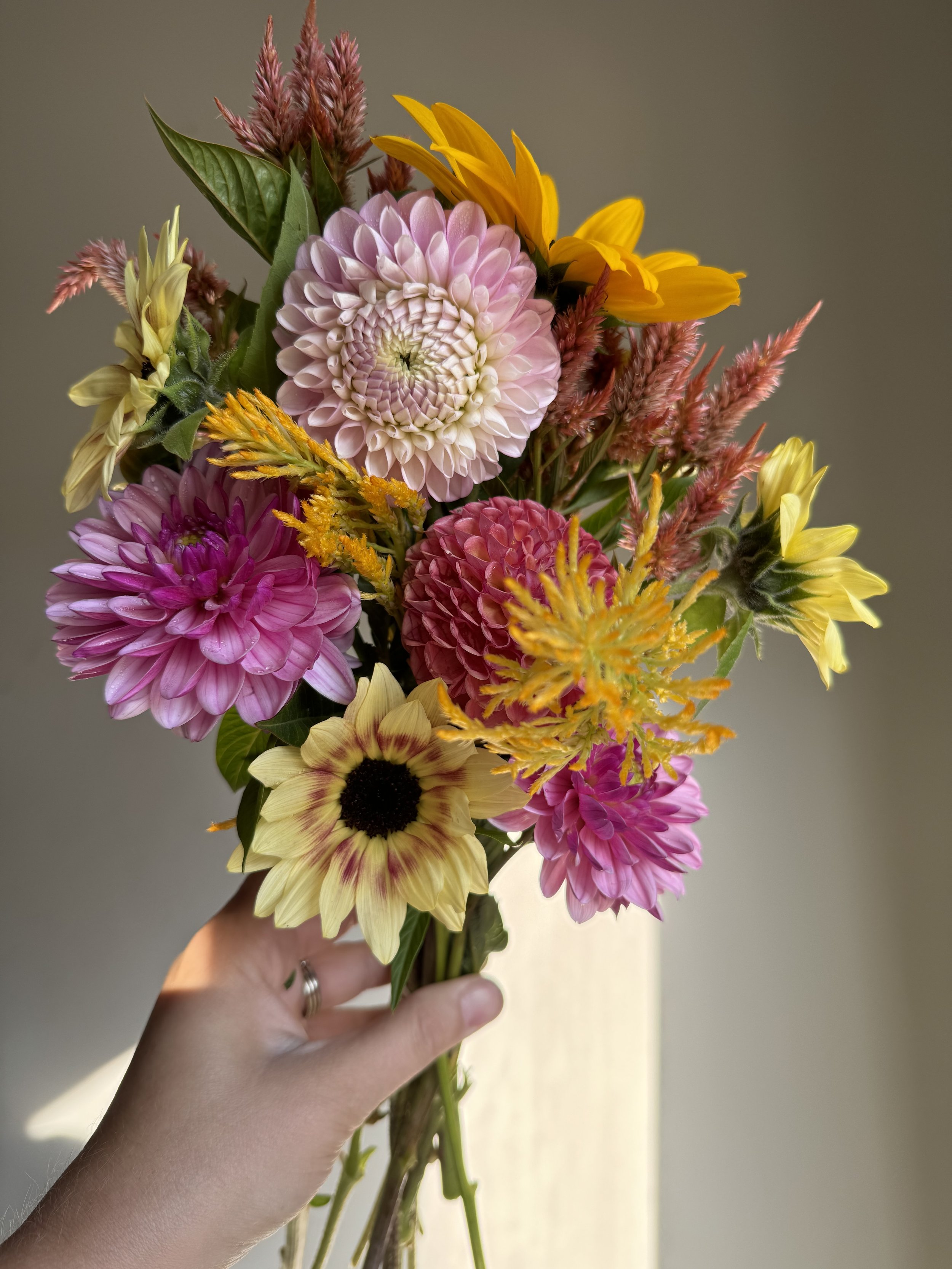 Flower Bouquet Subscription