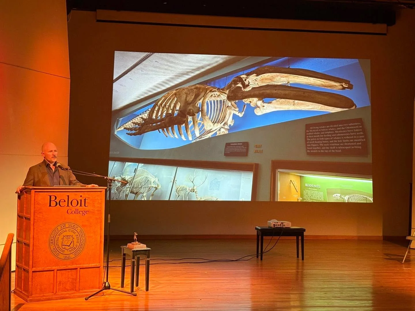 Dr. Nick Pyenson gave a great lecture on his work studying the fossils of ichthyosaurs, sea cows, and whales as the winner of the 2026 Distinguished Explorer Award. Pictured is skeleton of the whale Roy Chapman Andrews collected at the beginning of h