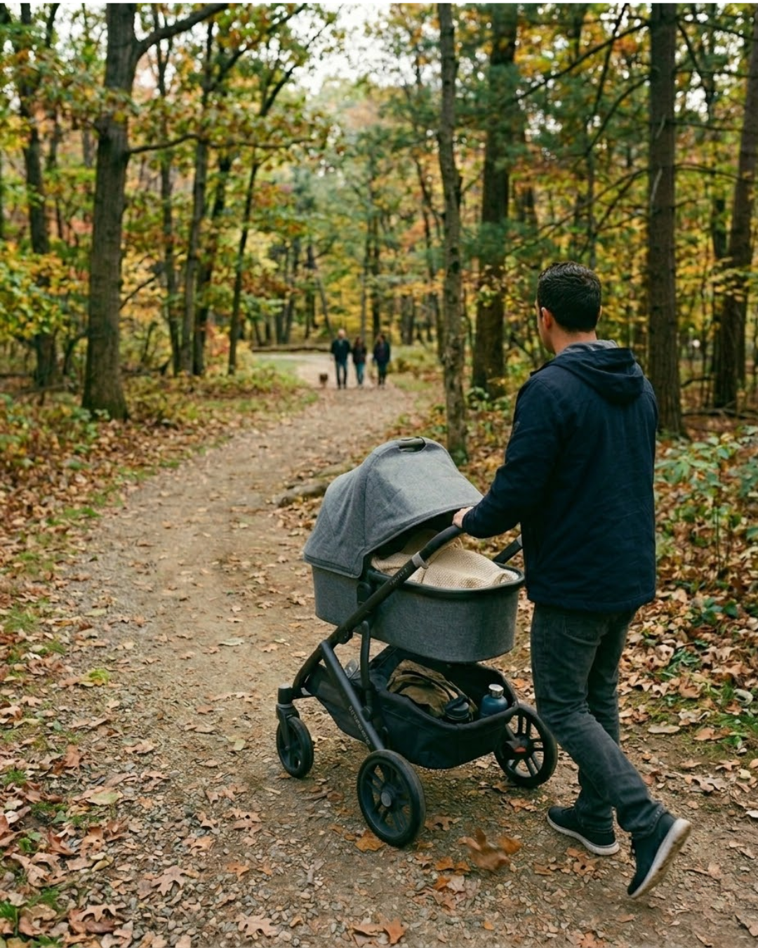 A man walking on a trail in a forest pushing a baby stroller. The scene is autumn with colorful fallen leaves on the ground and trees with yellow and green foliage.