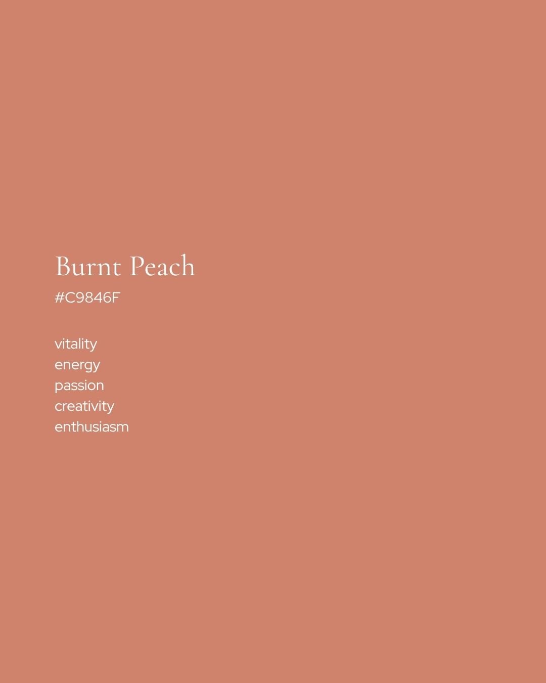 color palette 001 solid color burnt peach c9846f by tracey bureau.jpg