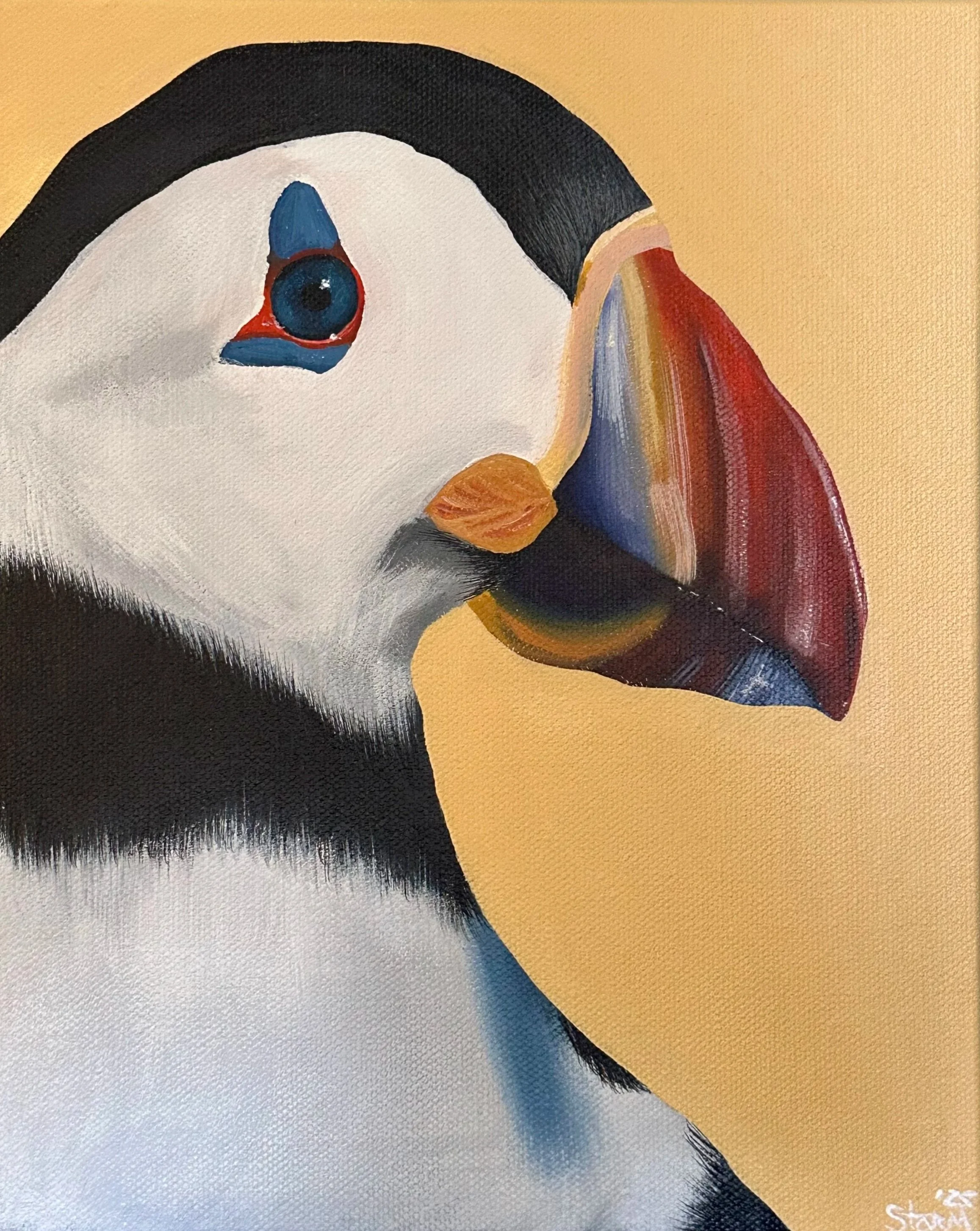 Close-up of a puffins face with a colourful beak against a beige background.