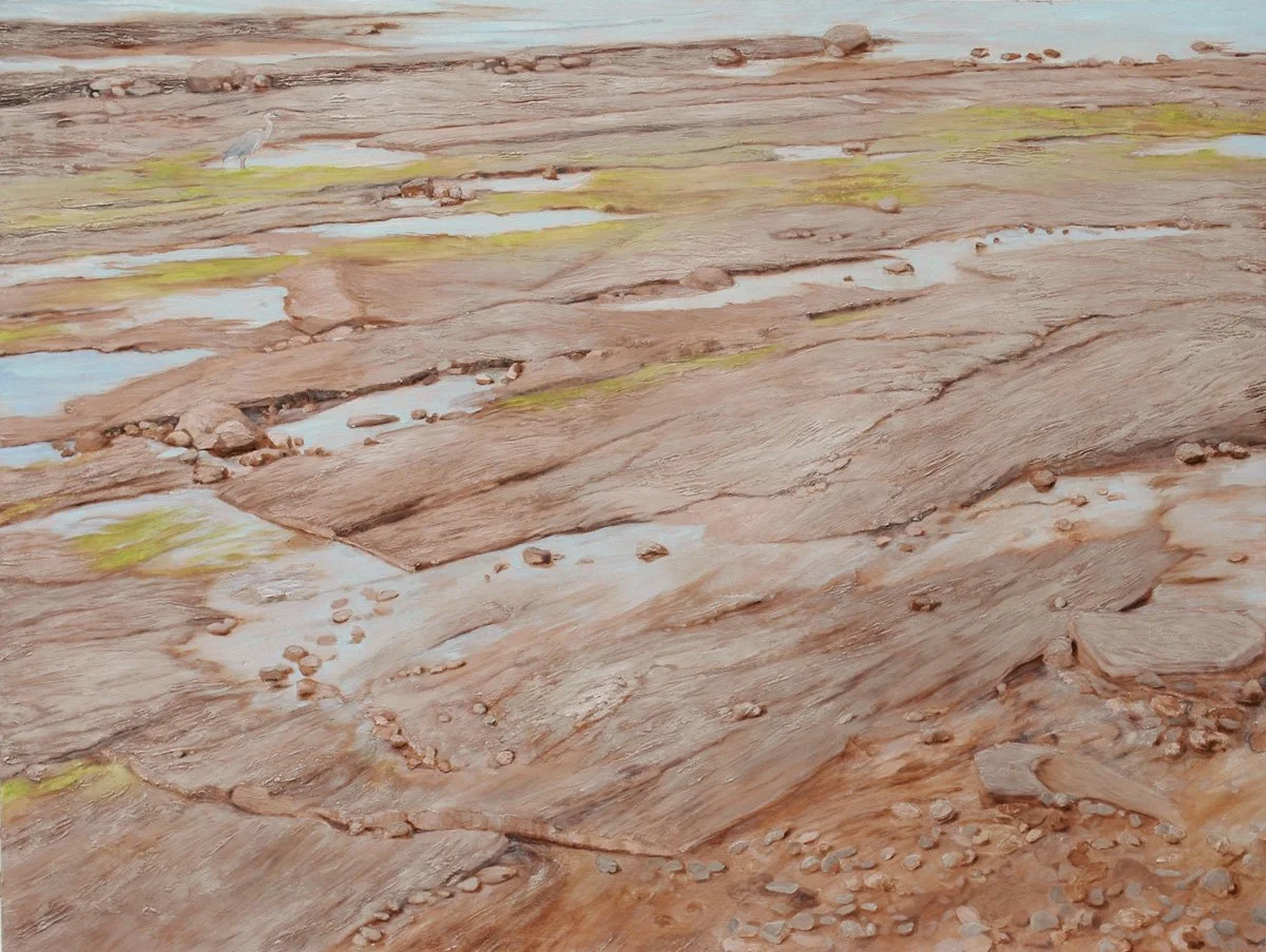 A landscape of red rock formations with small water pools and moss patches, and a bird standing near the water.