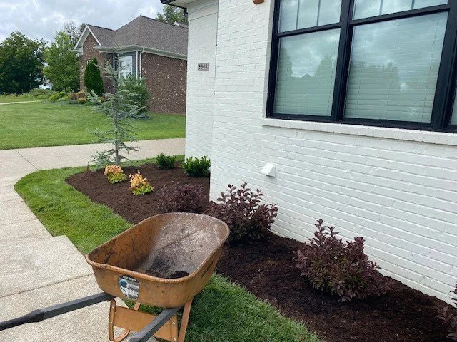 A wheelbarrow filled with dark soil in front of a new white brick house with a large window, small shrubs, and a freshly mulched garden bed.