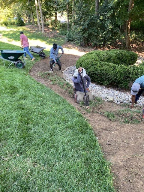 Four workers are landscaping in a park, planting along a curved dirt path with shrubs and trees in the background.