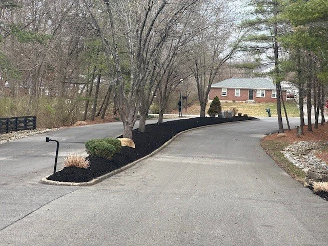 Newly landscaped curved driveway with black mulch, rocks, and young trees in a residential yard.