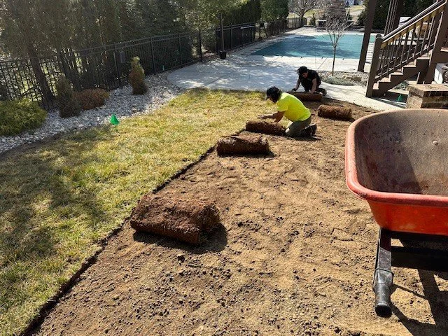 Two people working on a landscaping project, installing or renovating a backyard with a new lawn area, using rolls of sod. A wheelbarrow is visible in the foreground.