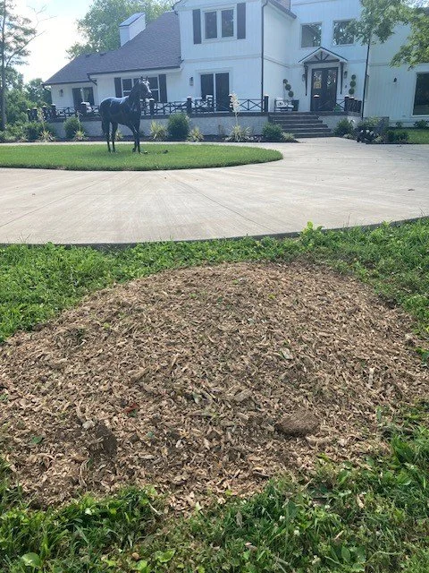 A pile of mulch in the foreground, a horse statue on a circular patch of grass, and a white house with black trim and steps leading to the front door in the background.