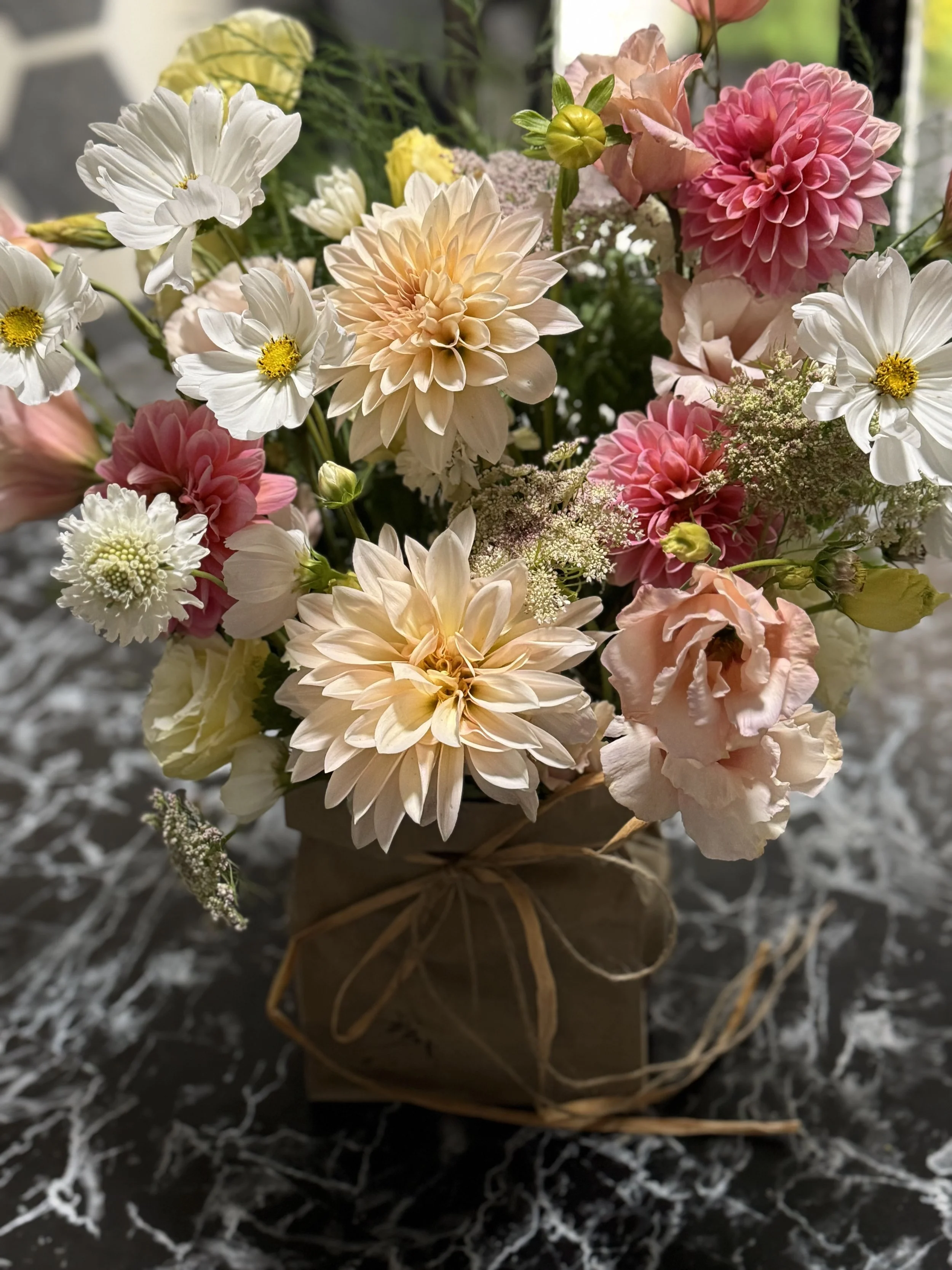 All Purpose - Designers Choice