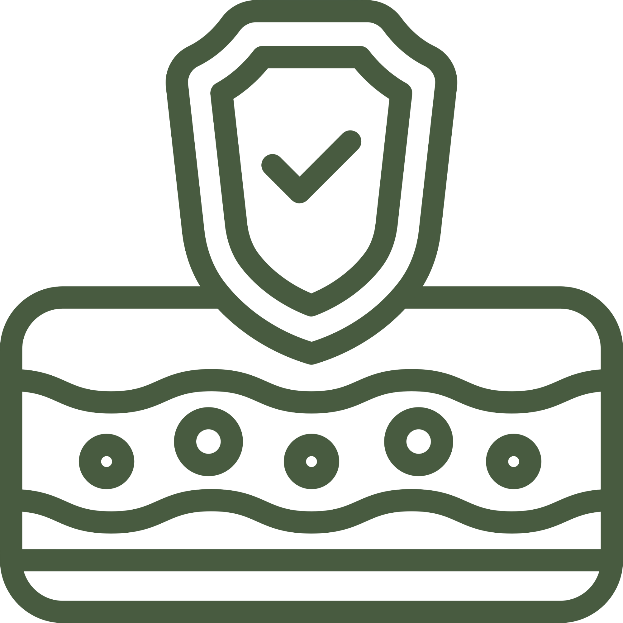 icon depicting barrier integrity of products and how they protect and reinforce the skin’s structural foundation