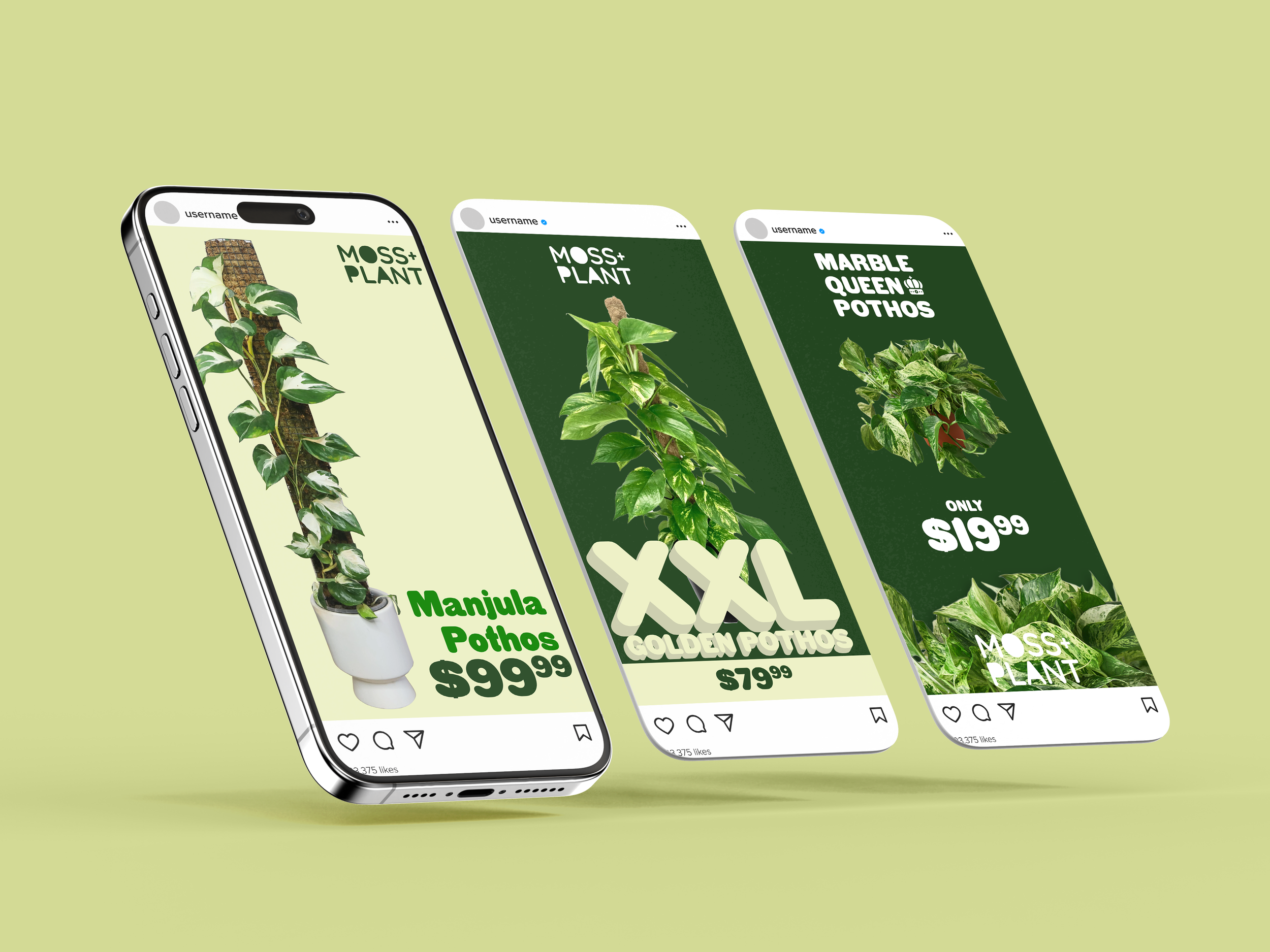 MOSS+PLANT Instagram Ads