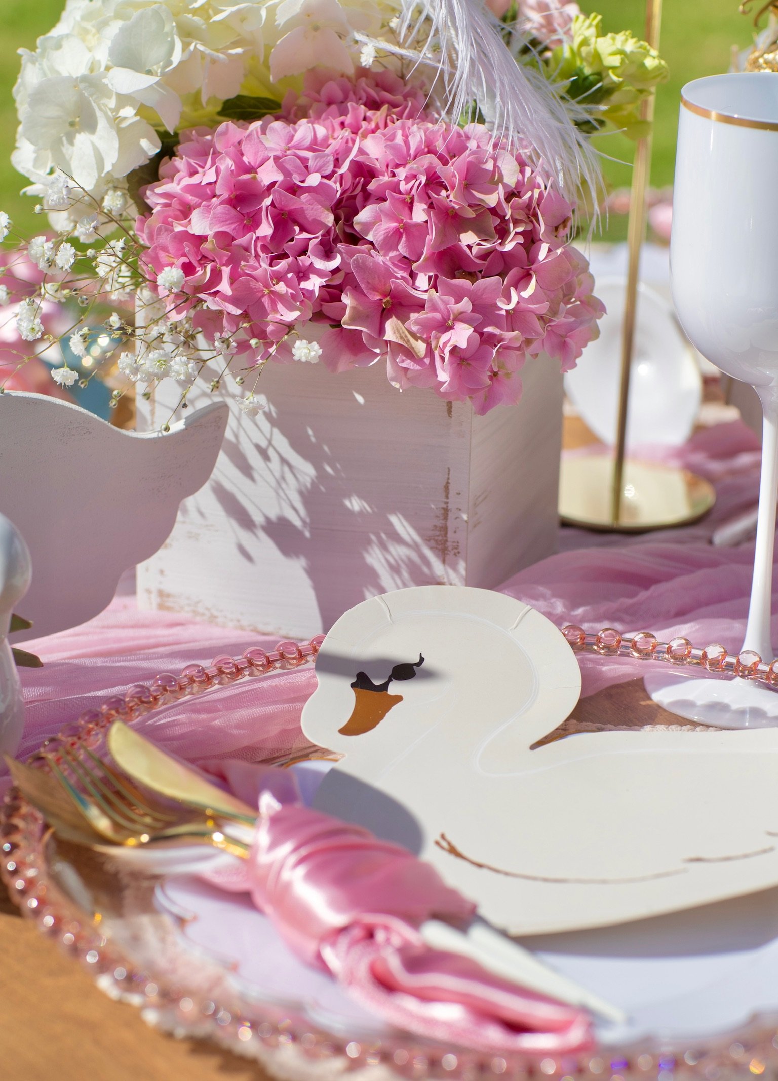 pink swim party.jpg