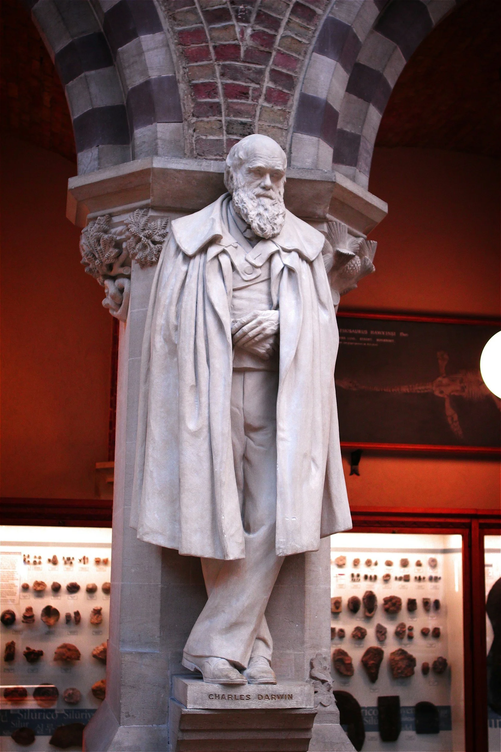 Darwin’s Influence on the Mental Health and Addiction Recovery industries