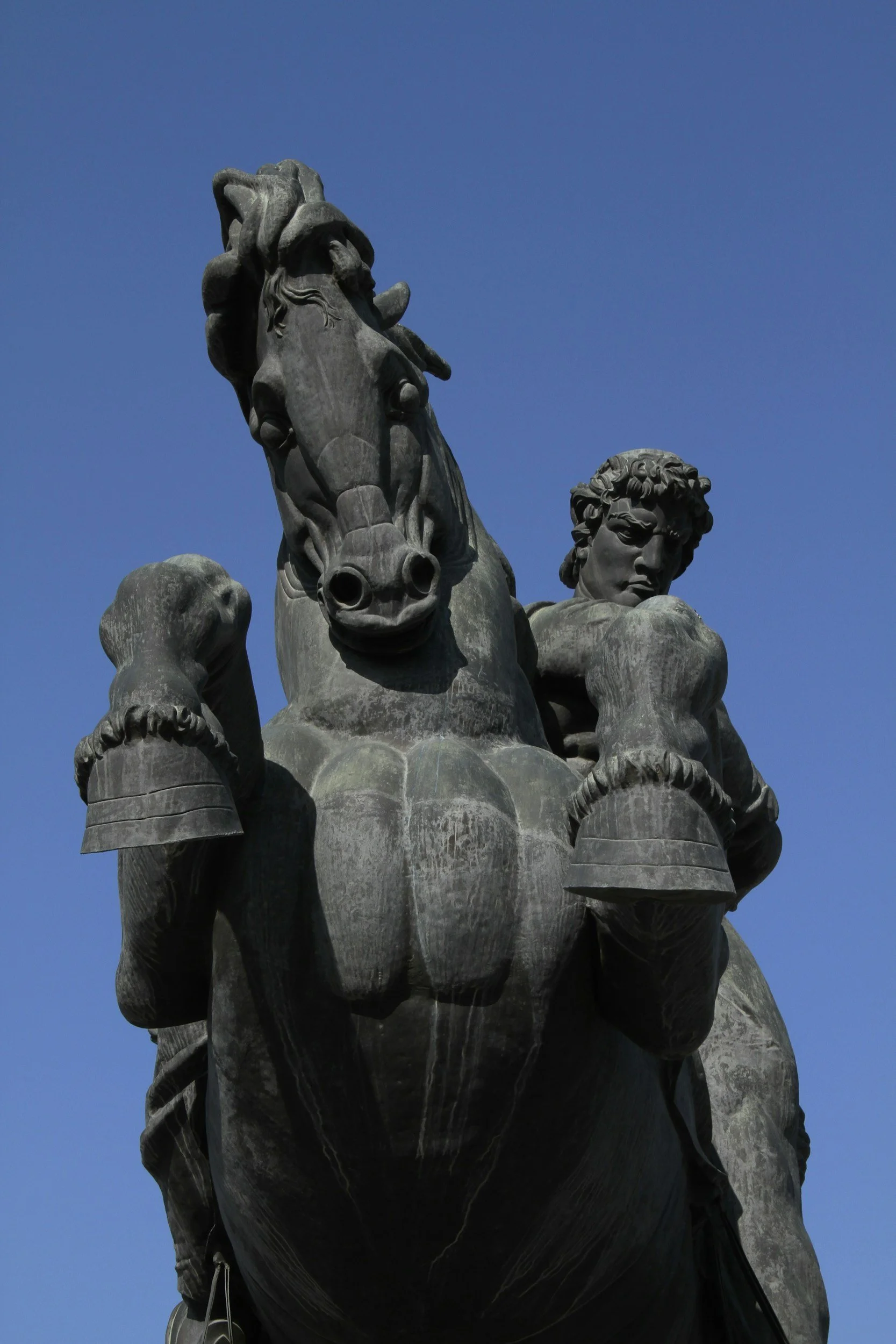 Trojan Horse: The Secular Mental Health and Addiction Recovery Industries