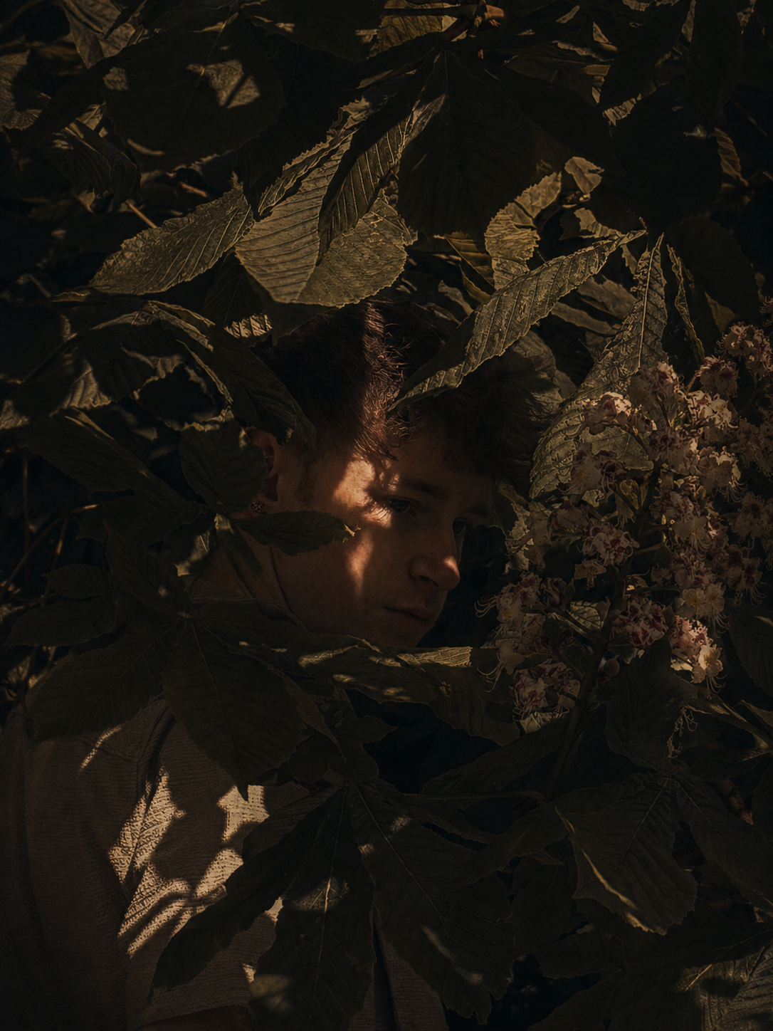 Adam Loughran with a light-colored shirt among large green leaves and pink flowers, partially obscured by shadows, with soft lighting highlighting part of their face.