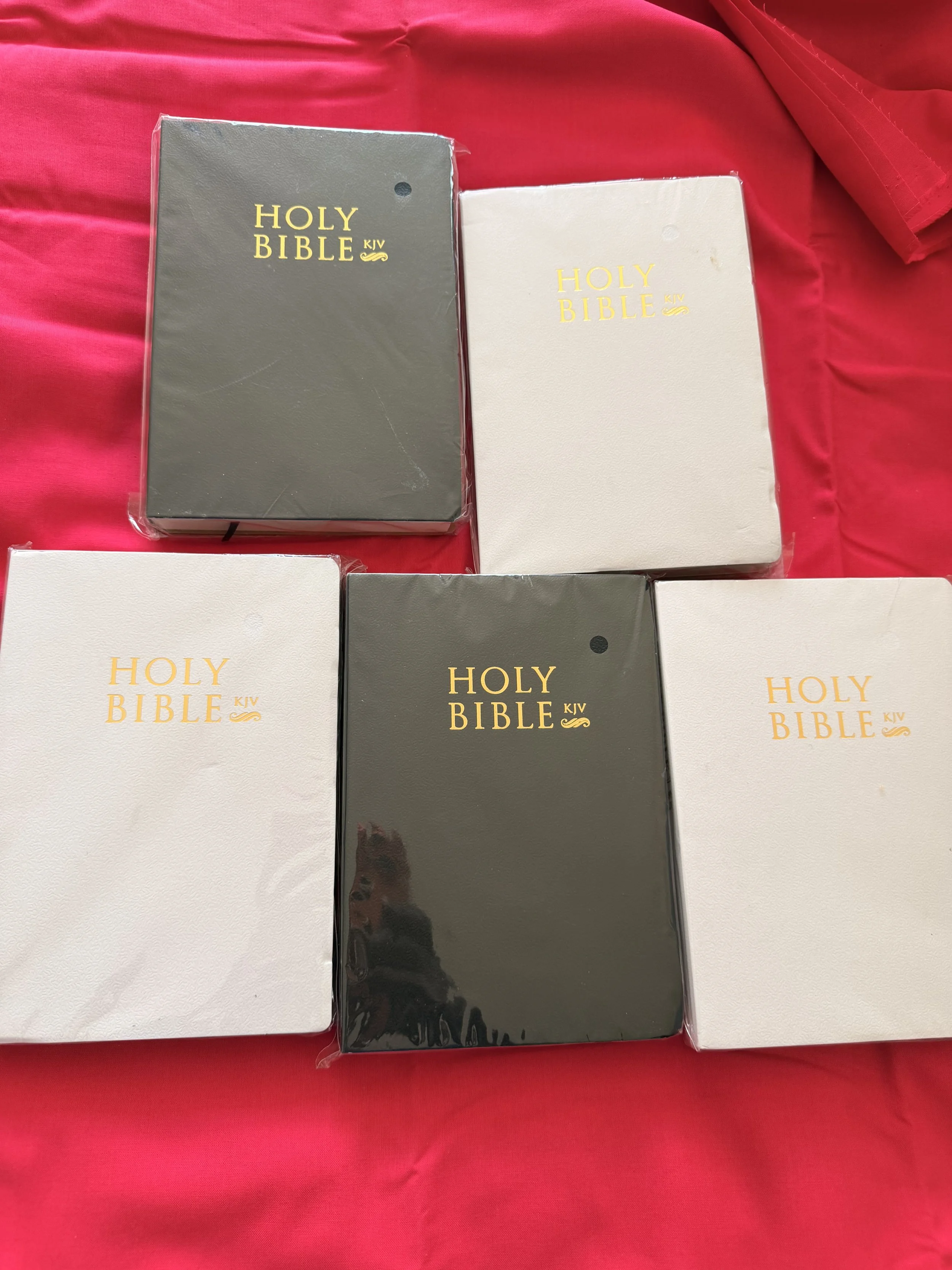 Holy Bible