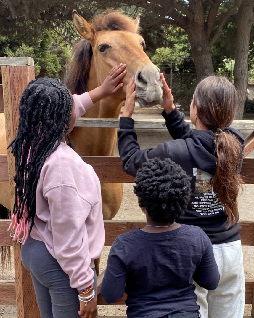 Three children petting a brown horse through a wooden fence in an outdoor area with trees.