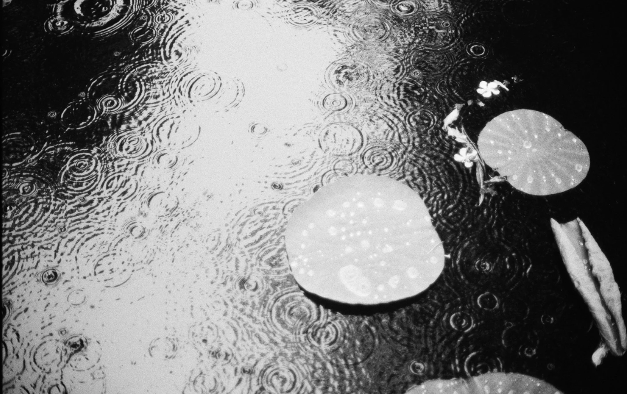 Why Am I Crying? Understanding Your Tears Through a Mind‑Body‑Spirit Lens