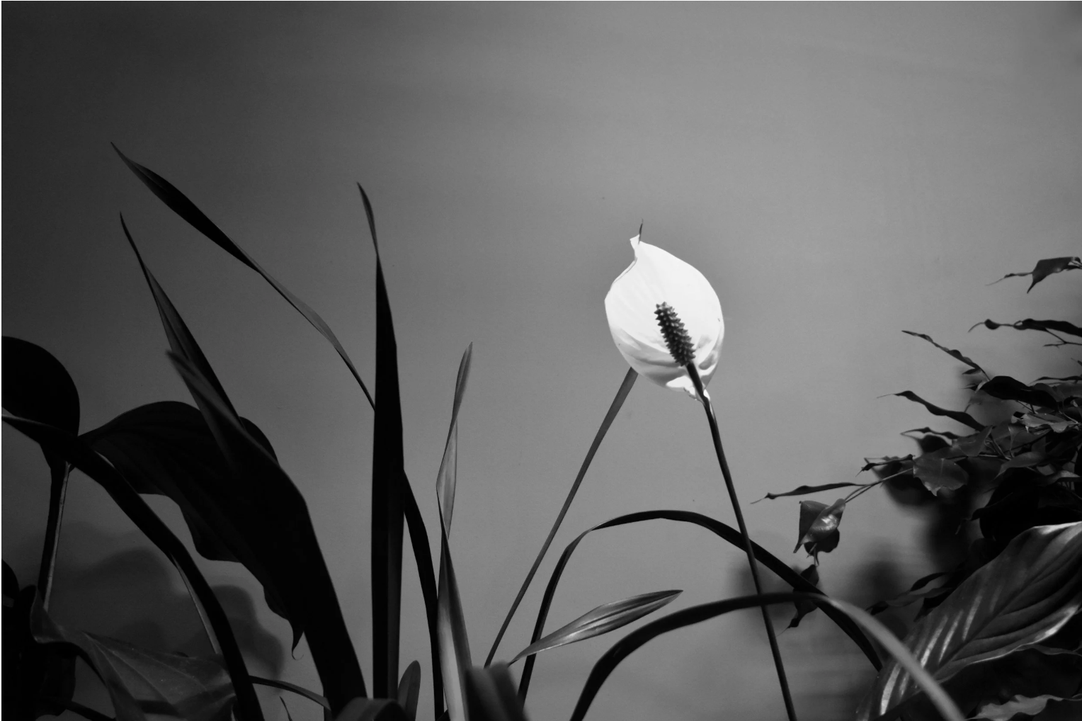 Depression &amp; Mindfulness