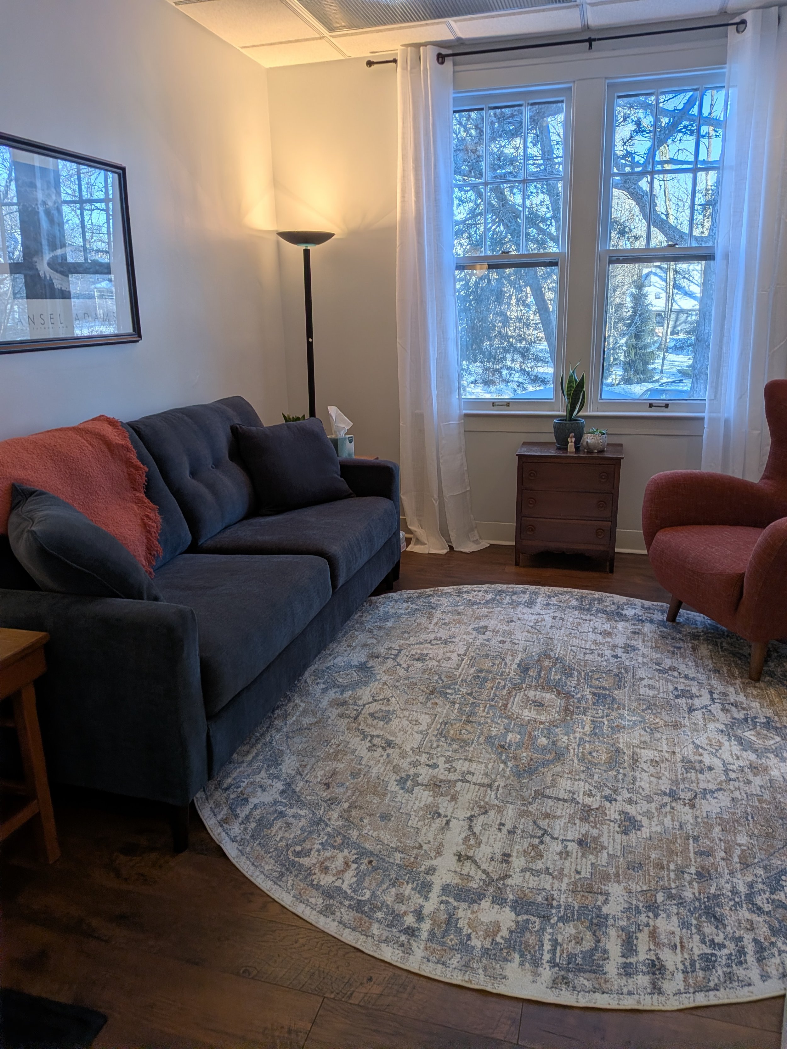 Therapy office of Dr. Irene Kraegel, PsyD with gray sofa, an armchair, a round patterned rug, a window with curtains showing trees outside, a wooden side table with a potted plant, a tissue box, and a photo frame, and a tall floor lamp.