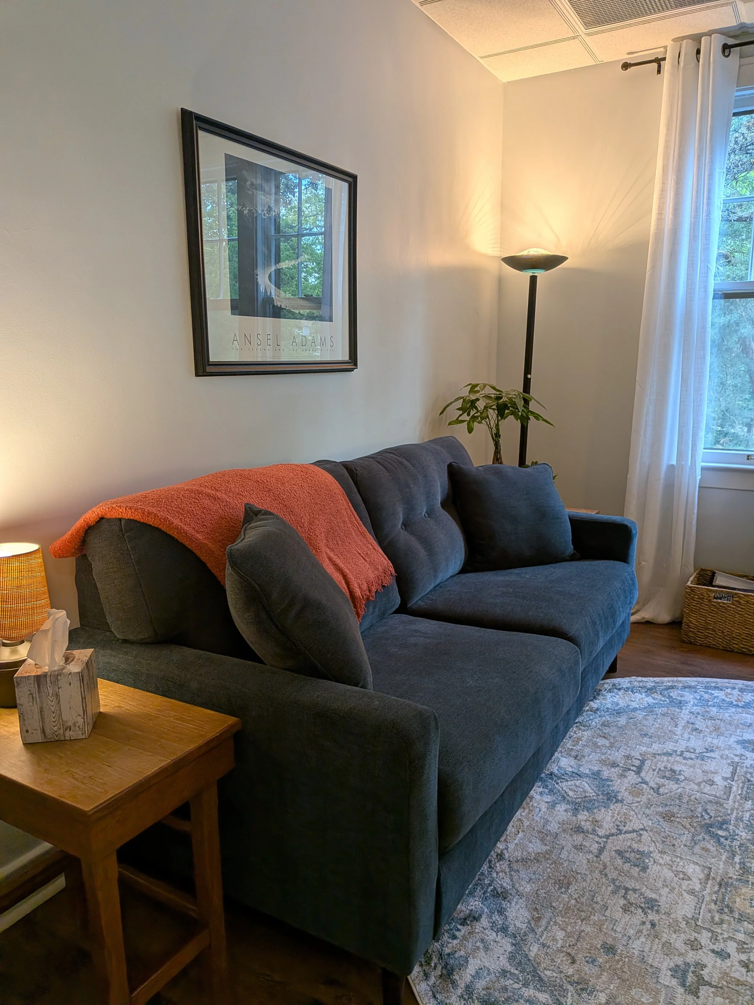 Blue couch, orange throw blanket, wood side table with small lamp, framed picture on wall, tall floor lamp, window with white curtains, potted plant, and patterned rug on wood floor. Christian counseling in-person Grand Rapids and online.