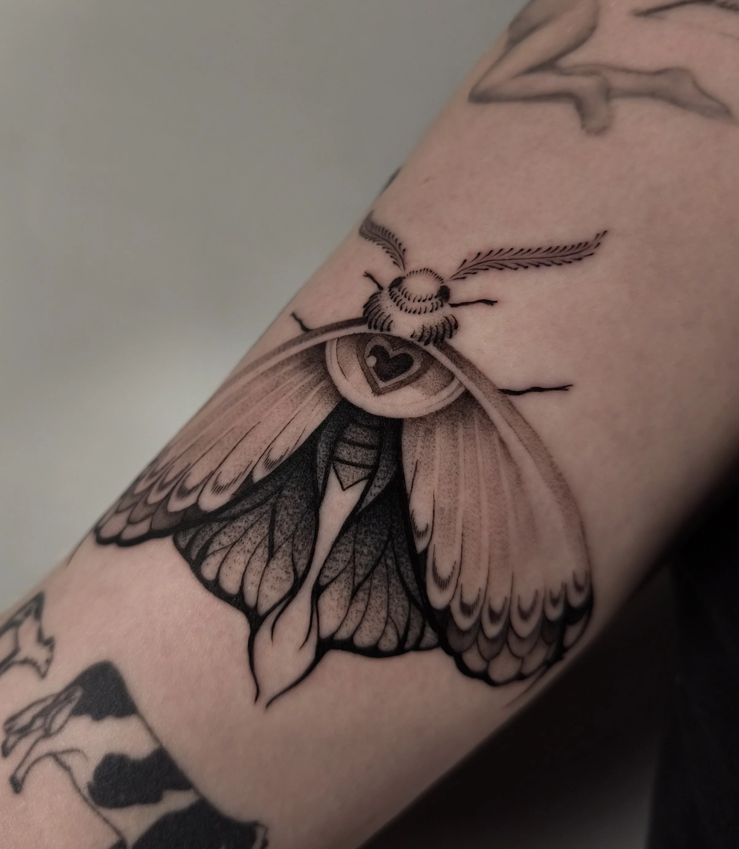 IMG_20251125_231805 (1).jpg