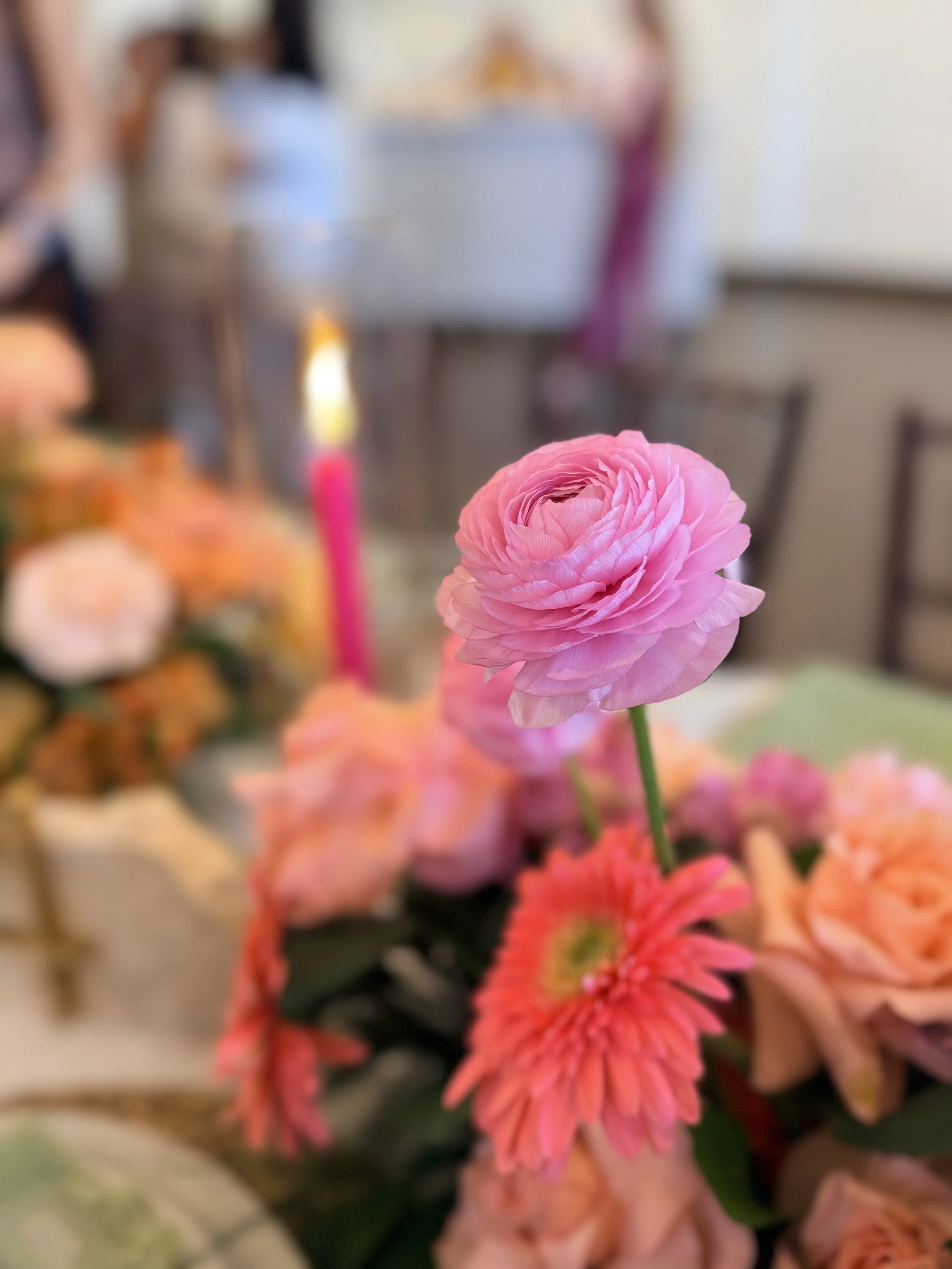 A close-up of a pink ranunculus flower with many layered petals, surrounded by blurred pink and peach flowers in the background.