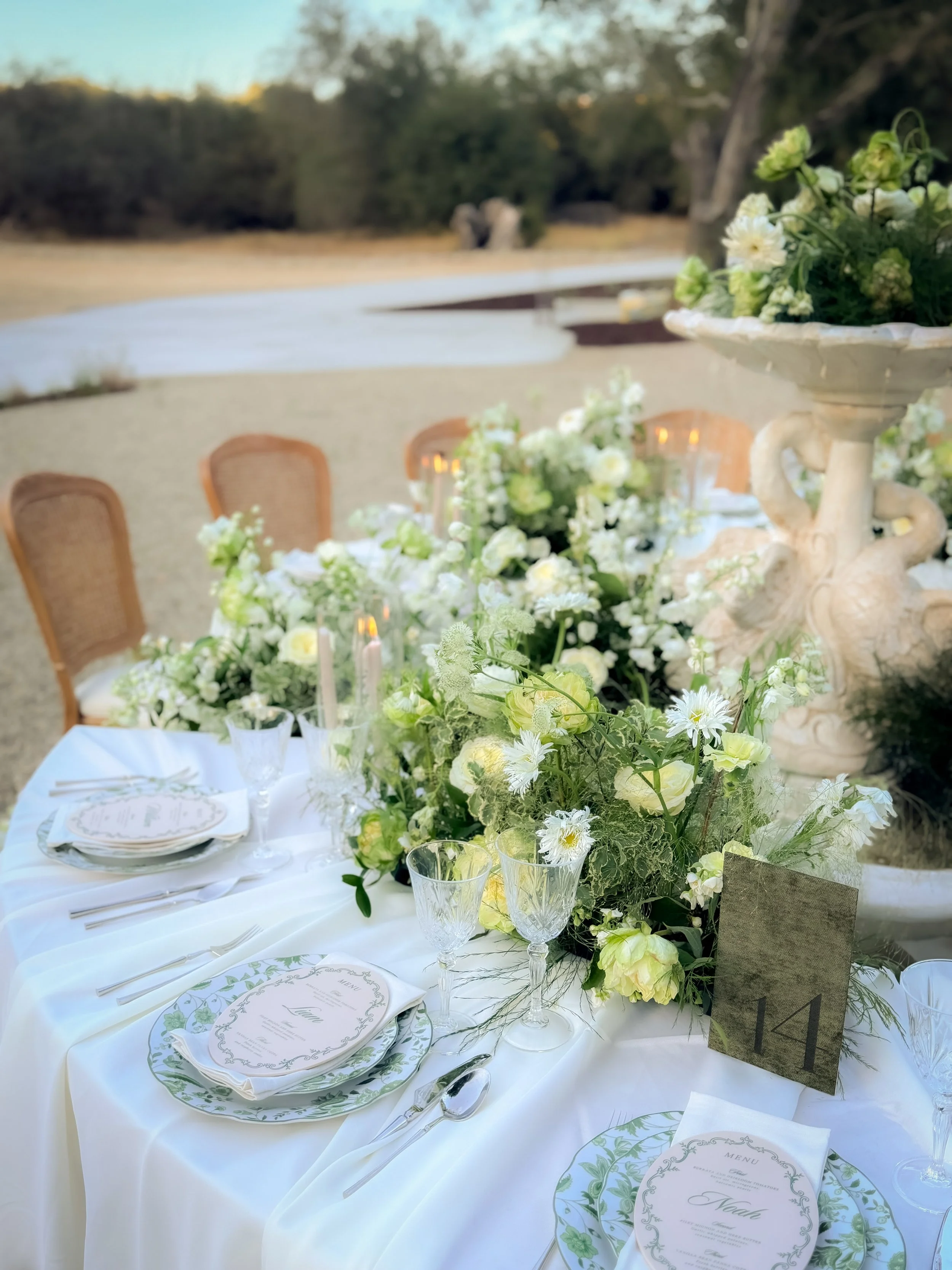 A table set for an outdoor event with white tablecloth, floral centerpiece, plates with menus, glassware, and silverware, surrounded by chairs, with a backdrop of trees and a landscape.