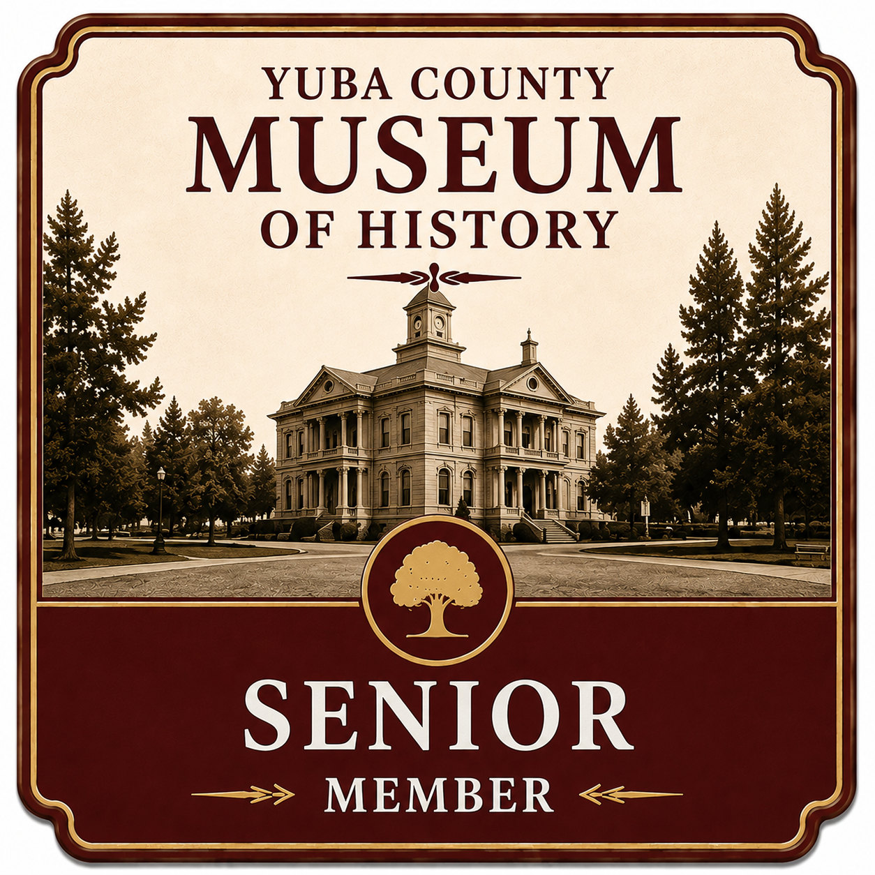 Senior Citizen Member