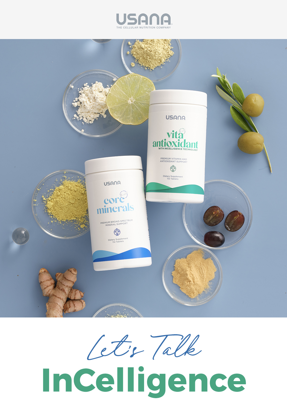 InCelligence Key Talking Points