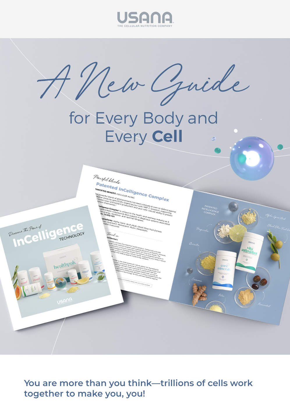 InCelligence Guide Introduction