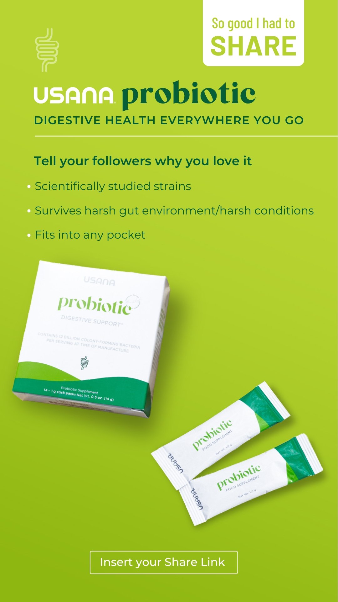 Affiliate Product Canva Template