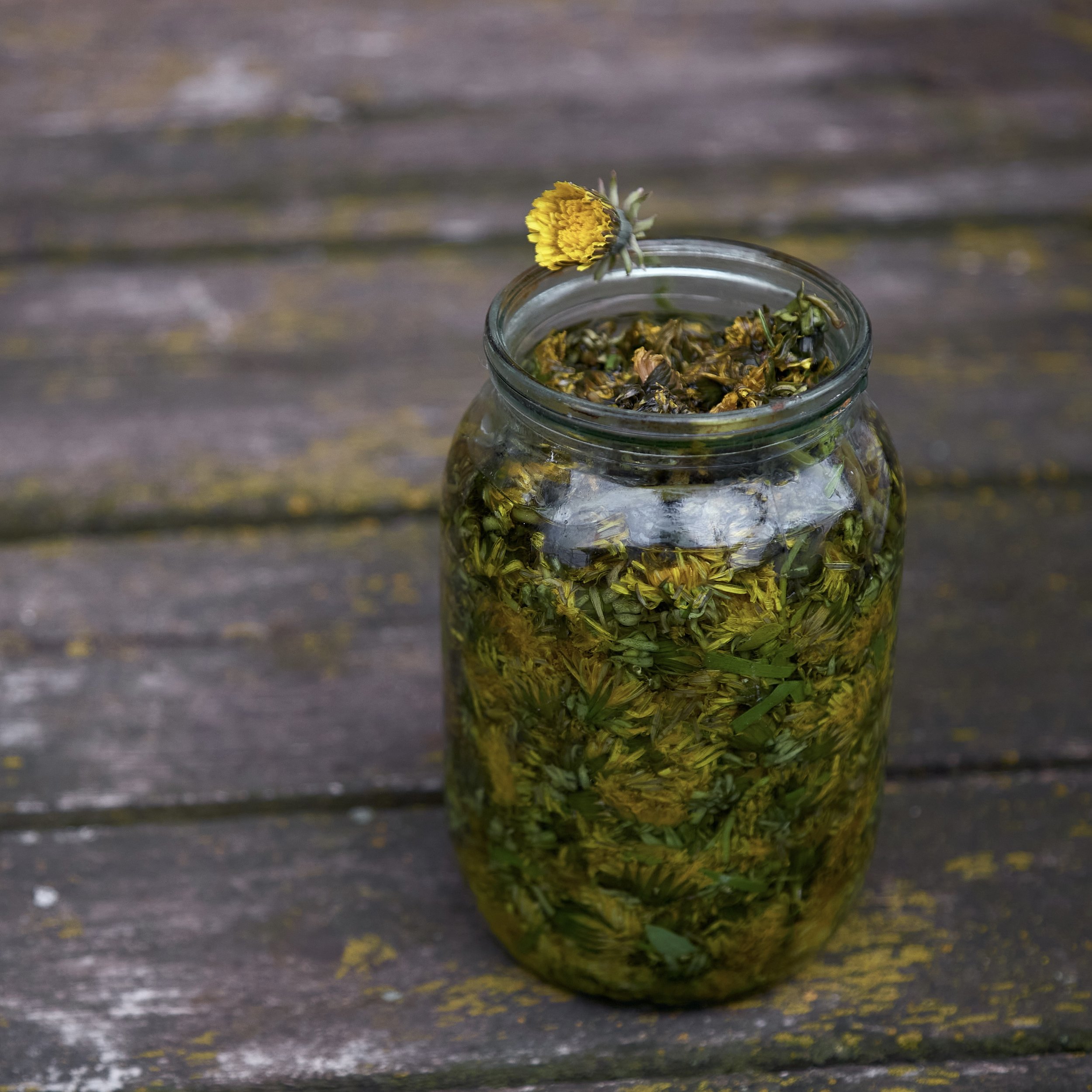 shutterstock_1977200348 copy.jpg