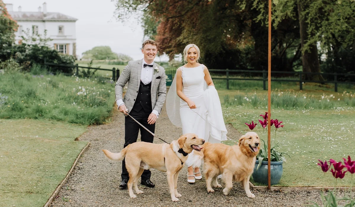 Couple in wedding attire walking their two dogs outdoors on a gravel path with greenery and flowers nearby.