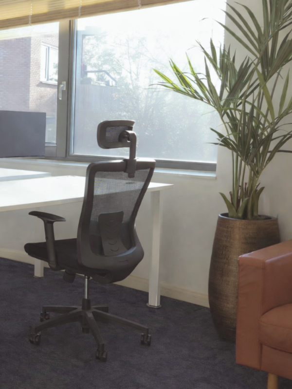 “Zakelijke interieurstyling: strakke werkplek met witte zit-sta bureaus, ergonomie en een plant voor meer balans en uitstraling.”