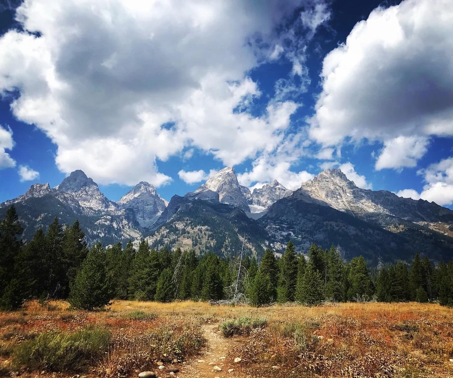 2317859F-773D-4A42-9AC9-66EF319189B4 2.JPG