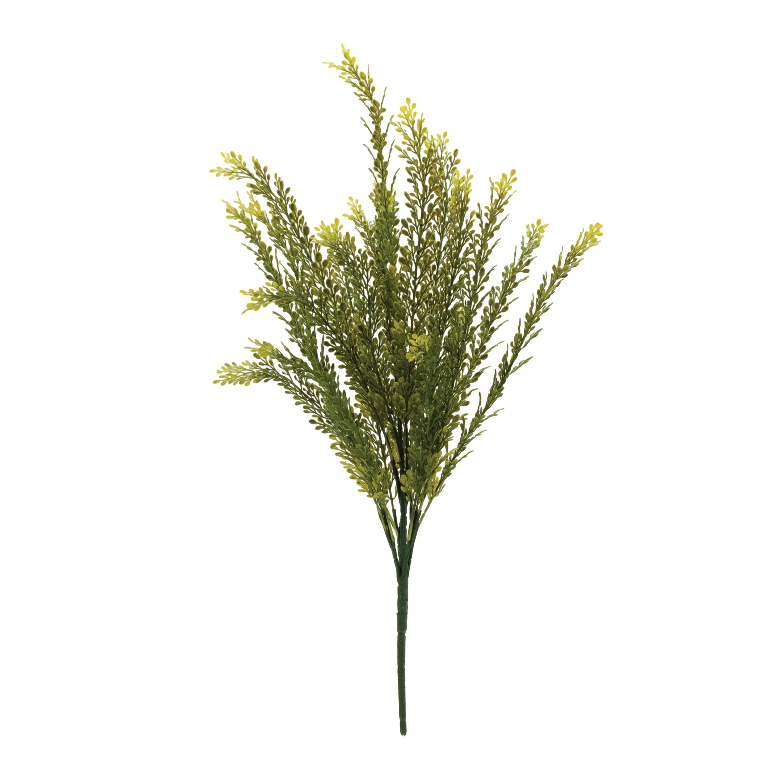 Baby Tears Foliage Bush (Set of 6)