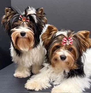 FullSizeRender (3).jpg