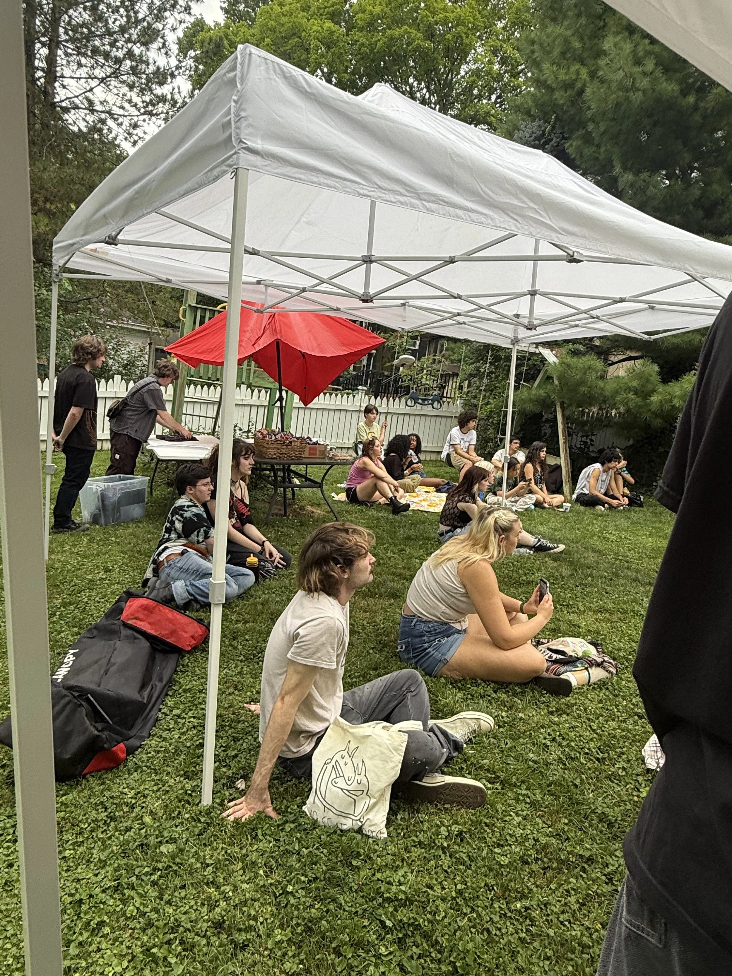 Party in my yard 3.JPEG