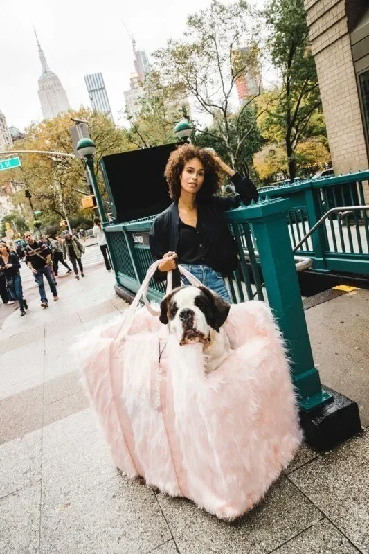 The Klarna Doggy Bag: 

Strategic & creative lead for Klarna’s “Doggy Bag” — turning a quirky New York subway rule into a real product and a global PR story. Part of Klarna’s U.S. debut that, five years later, culminated in its IPO.