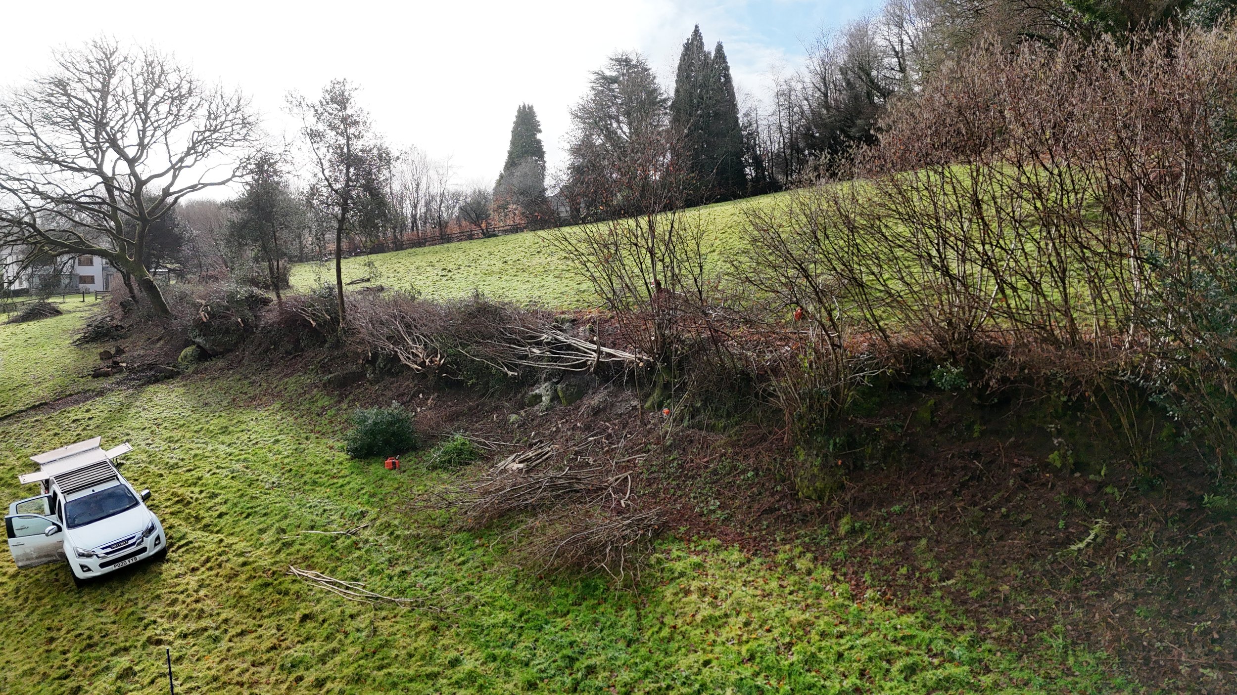 DJI_20260122111708_0425_D.JPG