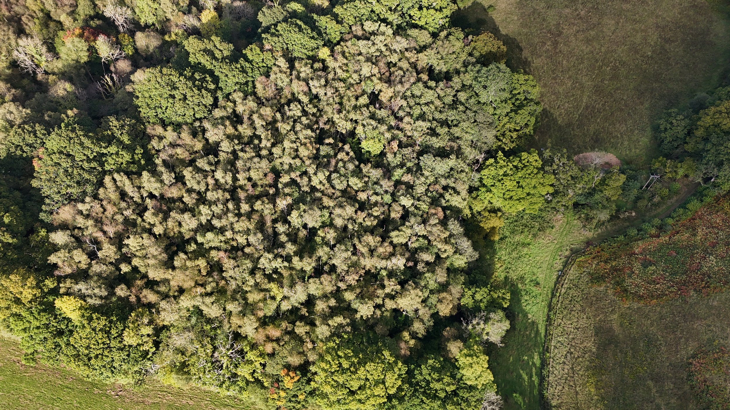 DJI_20240927163104_0133_D.JPG