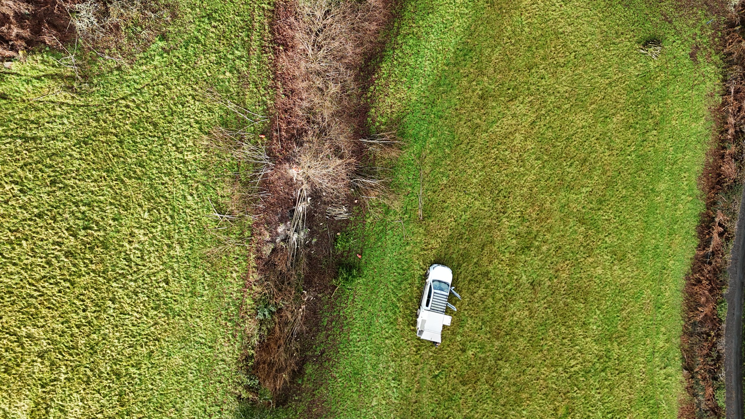 DJI_20260122111856_0432_D.JPG