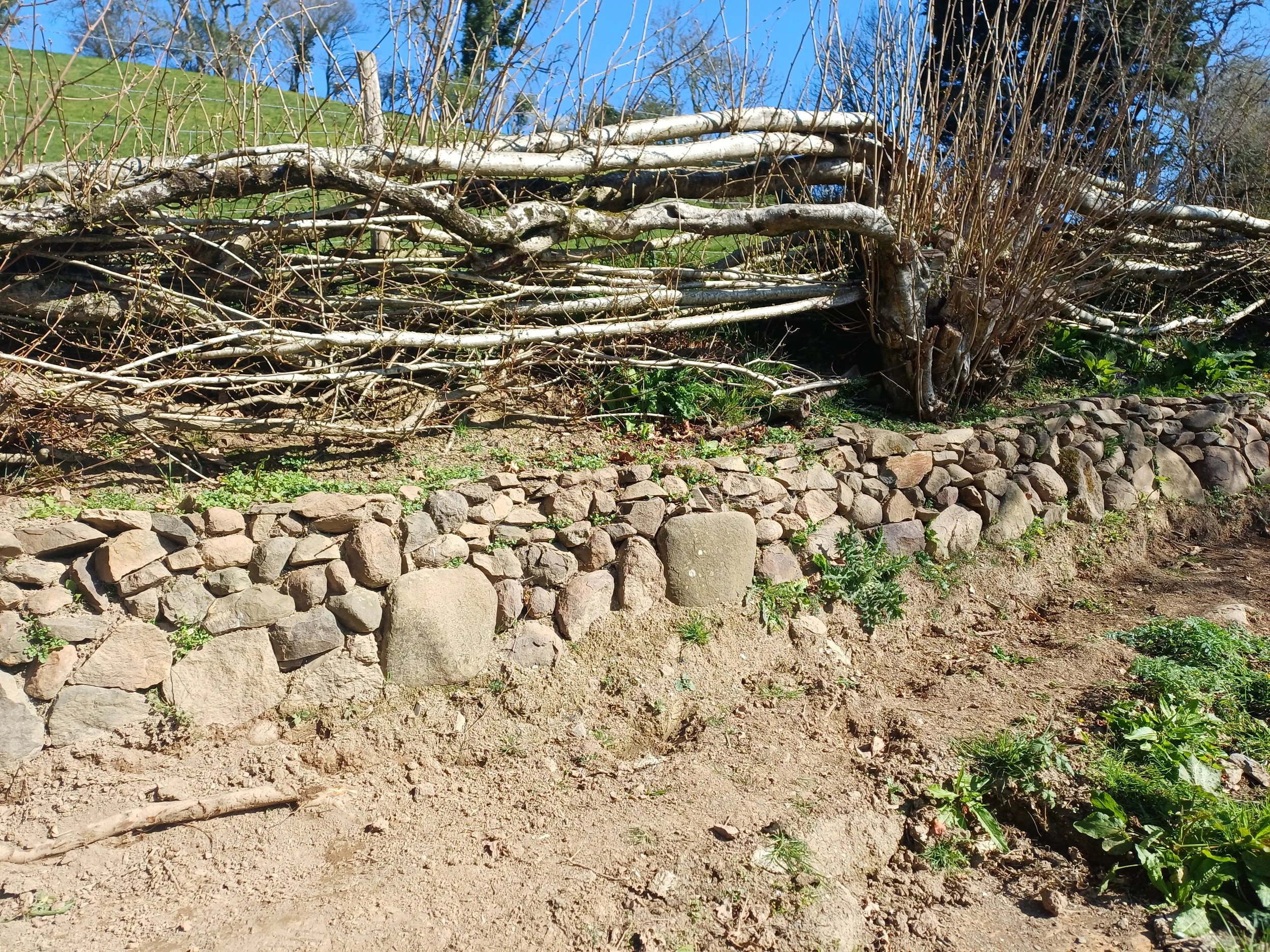 Stone wall1.jpg