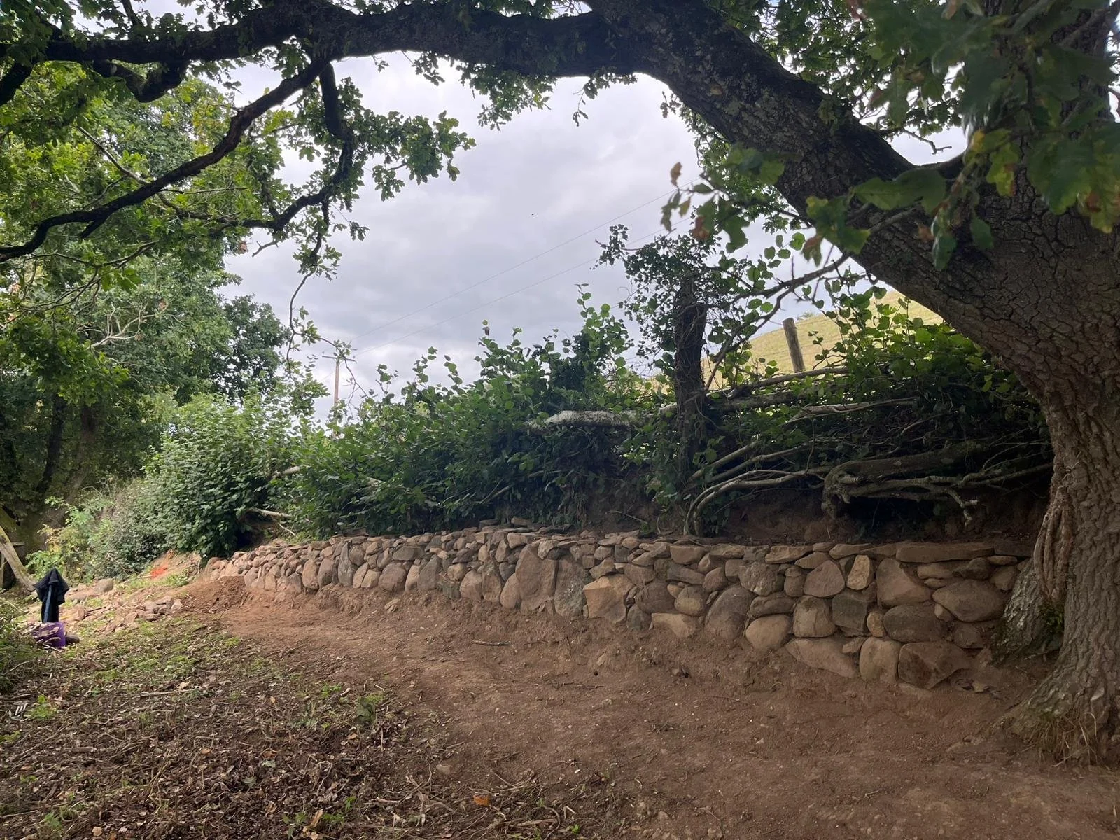 Stone wall restoration before.jpg