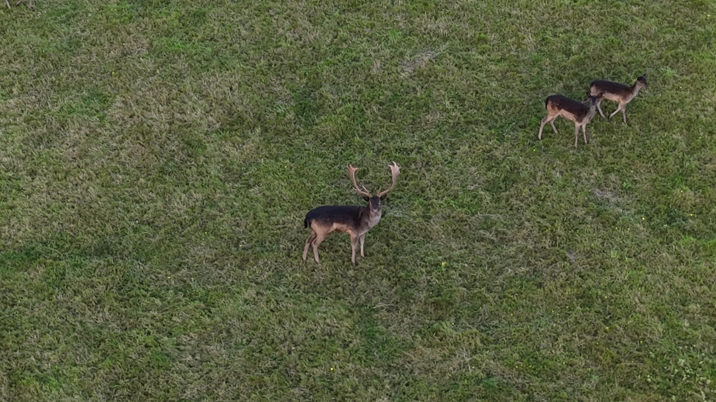DJI_20240927164600_0147_D.JPG