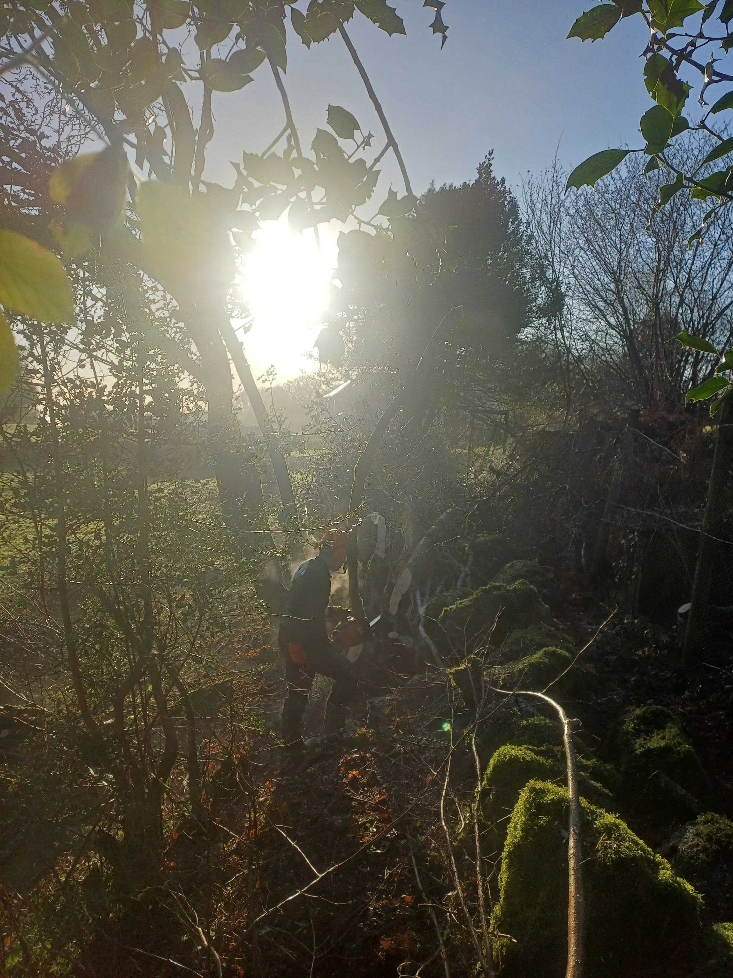 20260116_094337.jpg