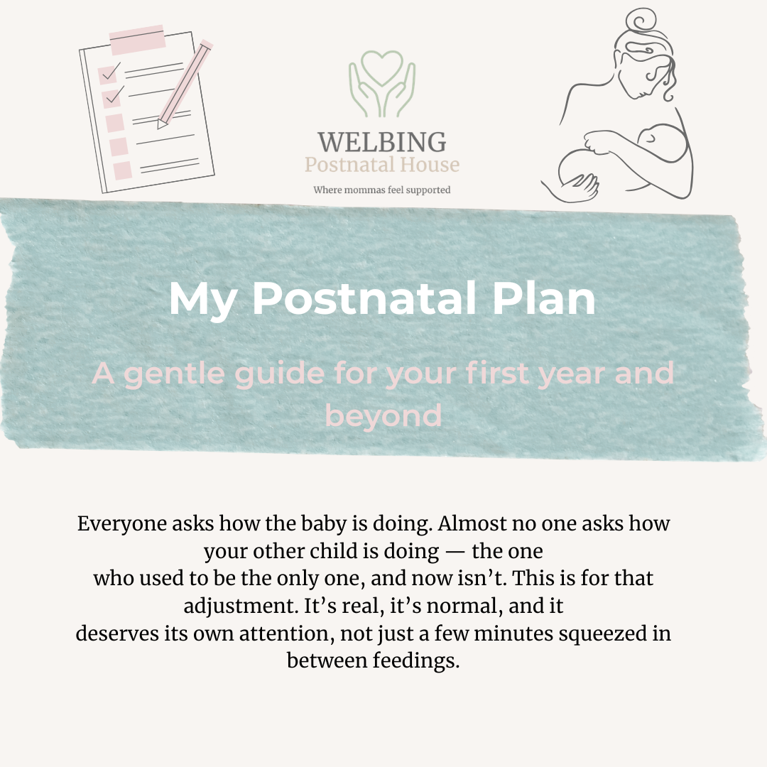 My Postnatal Plan: A gentle guide for your first year and beyond