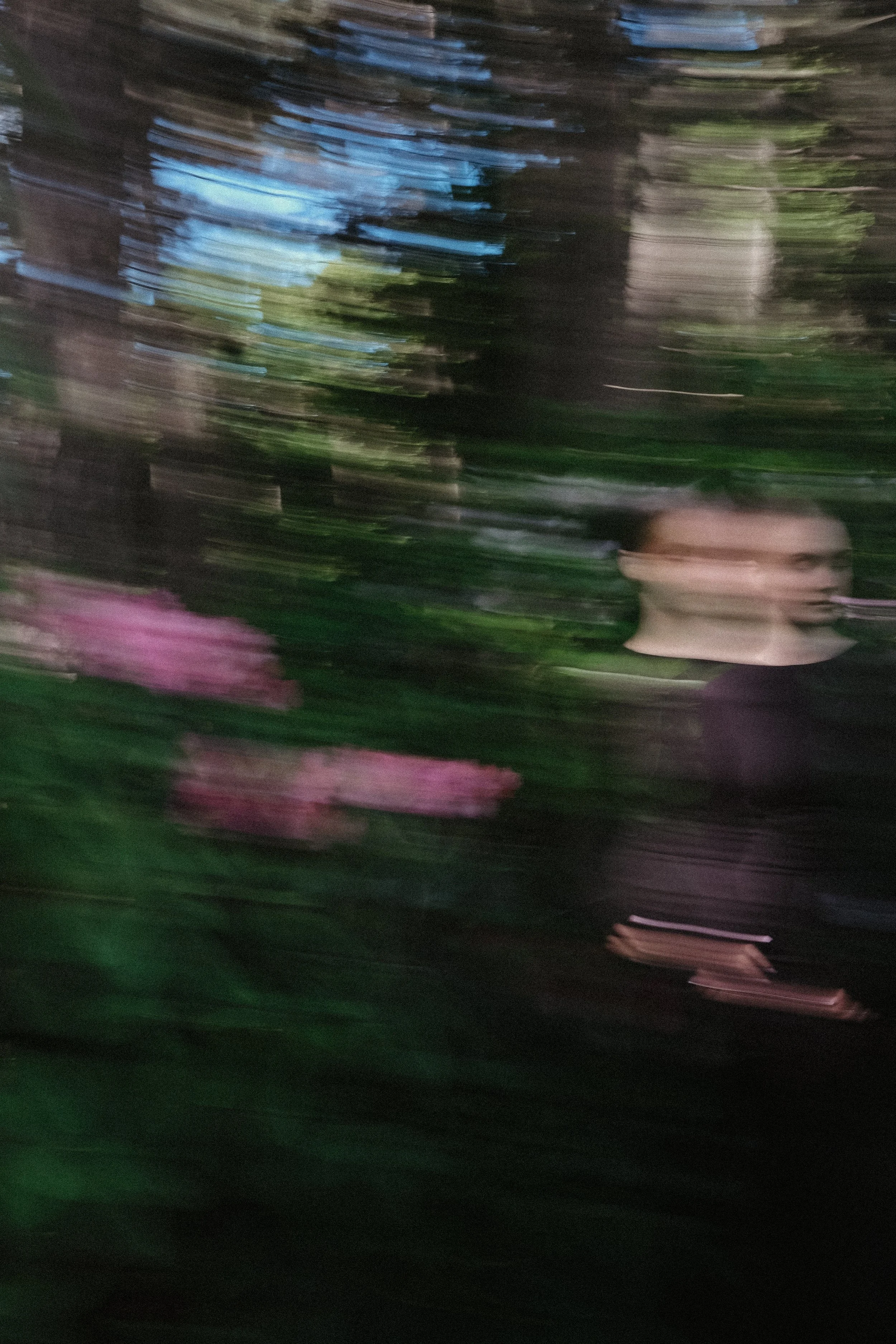 DSCF5386.jpg