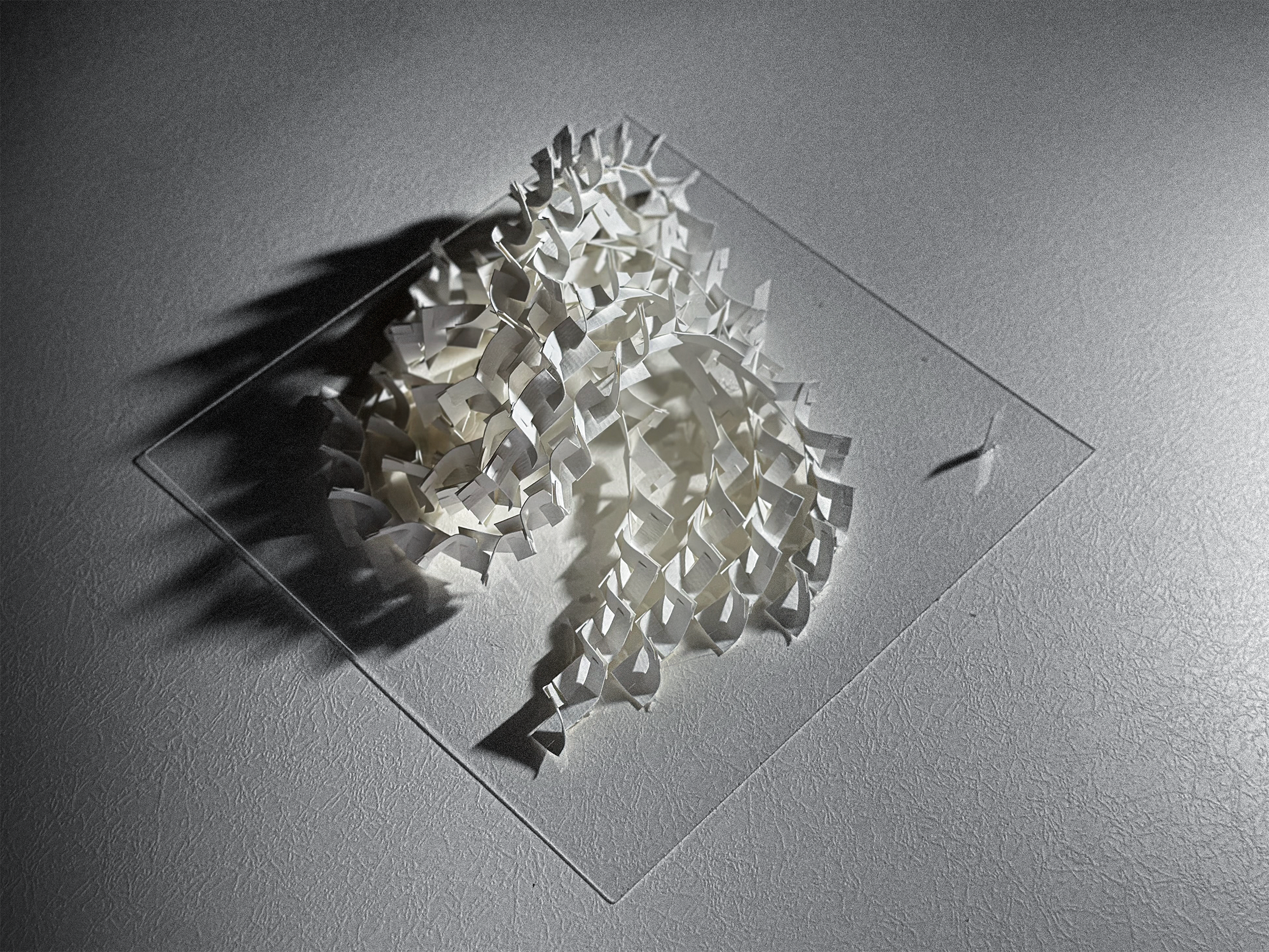 N10_Ngọc Sang_Phối cảnh 3.png